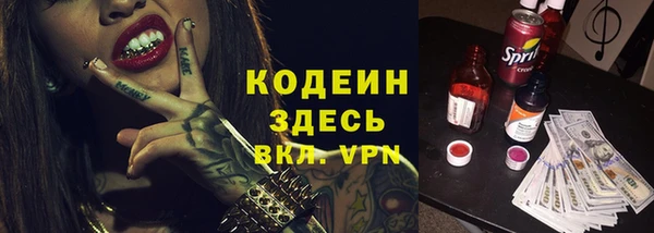 тгк Пересвет