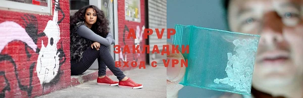 мяу мяу мука Переславль-Залесский