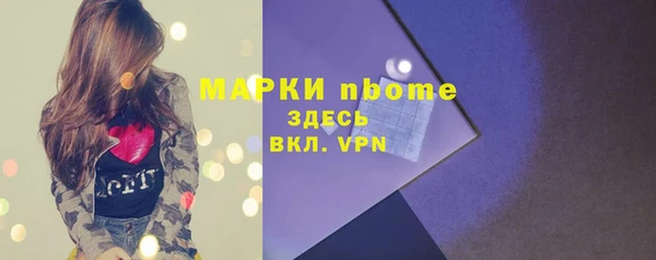 тгк Пересвет