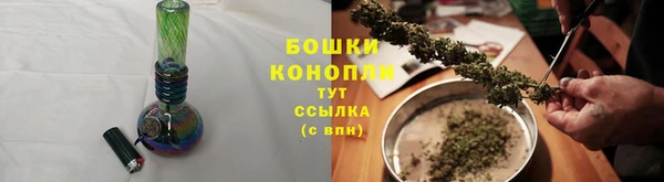 тгк Пересвет