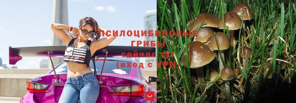 мяу мяу мука Переславль-Залесский