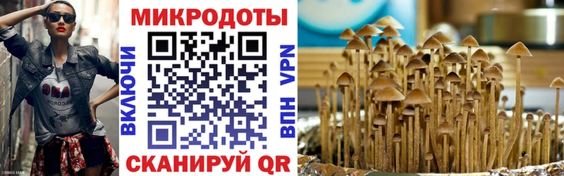 сколько стоит  Тихорецк  Галлюциногенные грибы Magic Shrooms 